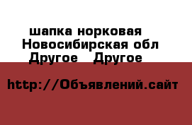 шапка норковая  - Новосибирская обл. Другое » Другое   